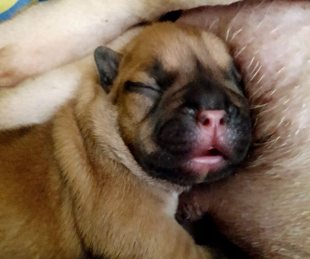 Nos bébés de 2017