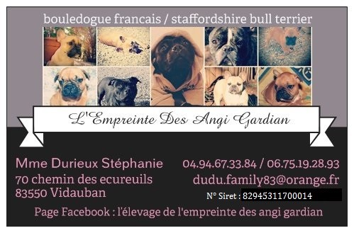 De L'Empreinte Des Angi Gardian